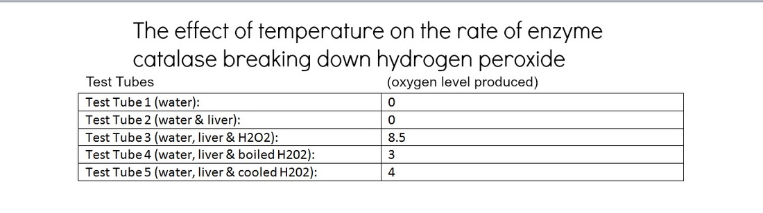 Hydrogen Peroxide Lab Report